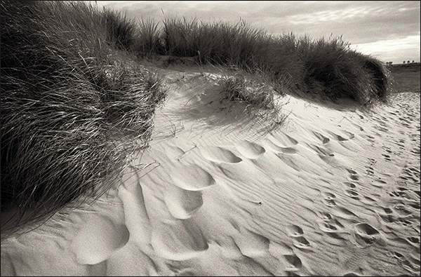 Footprints and grasses - Winterton.jpg
